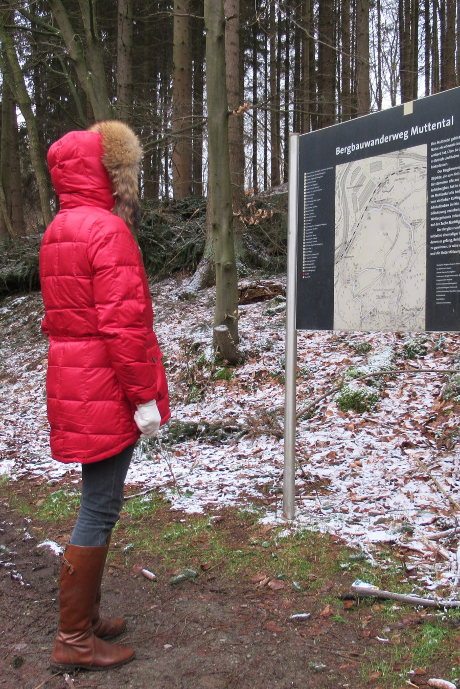 Ein Hauch von einem Winter.jpg