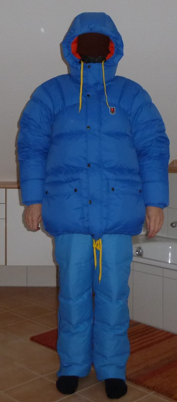 Fjäll_Räven_94.JPG