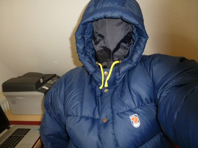 Fjäll_Räven_44.jpg