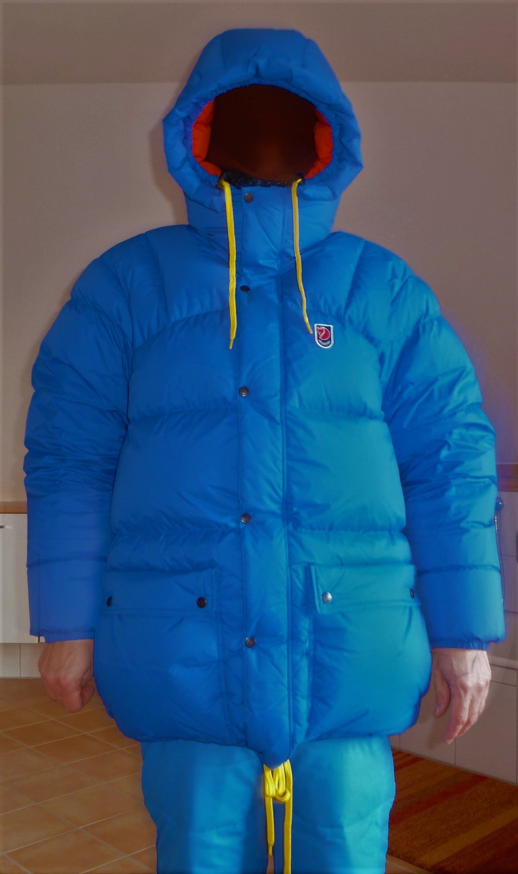 Fjäll_Räven_98.JPG